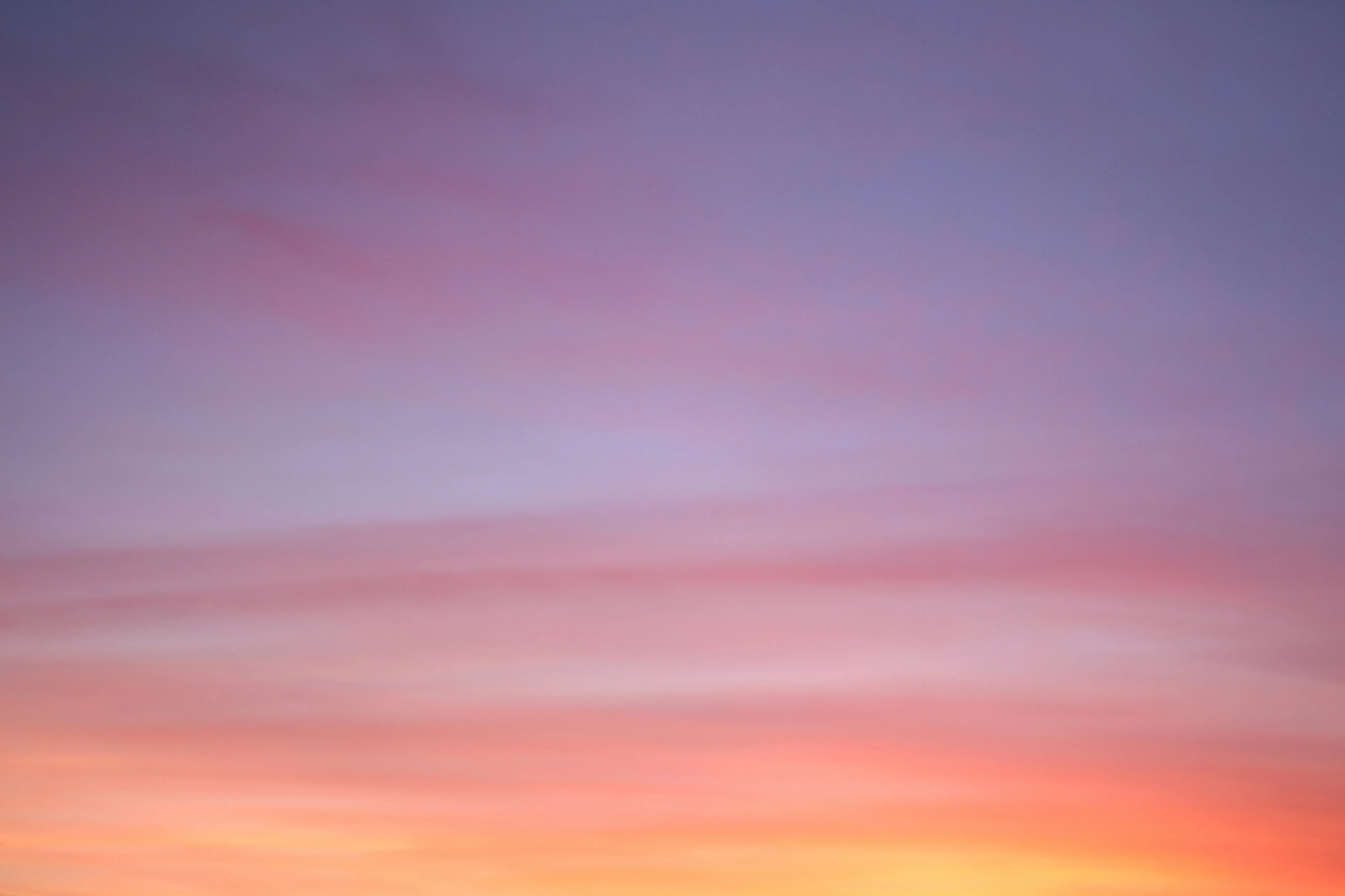 Cover Image of the Post